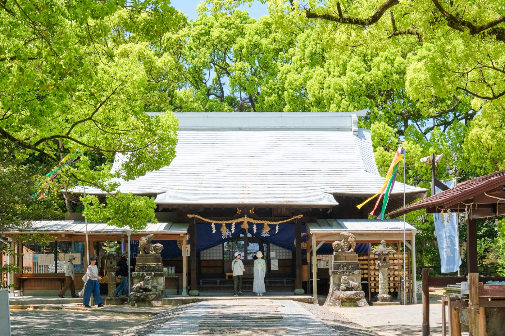 緑に包まれた諫早神社の社殿
